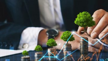 GoHighLevel (GHL) - GHL Strategy - GoHighLevel Customization Services USA: A Complete Guide for Growing Businesses